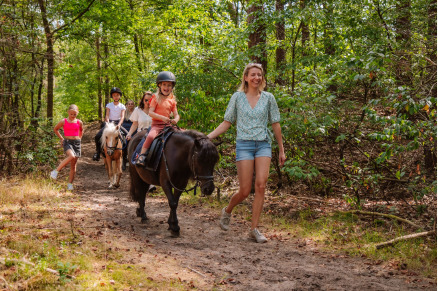 Manege bij Camping Samoza in het bos op de Veluwe VMP090